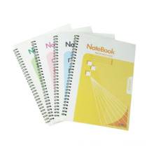 Tamanho 254 * 177mm PP Cover Spiral Book Hardcover Excerise Nootbook Office Memo Pad